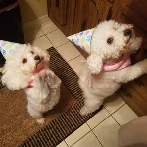 Meet your Posher, Mary ellen